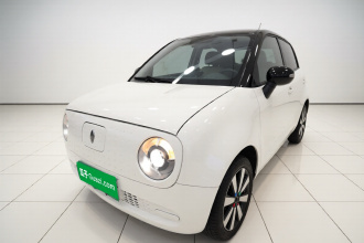 欧拉黑猫 2021款 301km 基础型