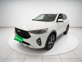 哈弗F7 2019款 1.5T 两驱i型 国V