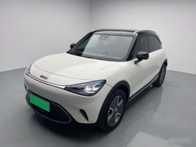 smart精灵#1 2023款 Pro版