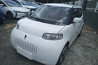 欧拉白猫 2020款 360km 豪华型