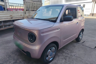 吉利银河 2023款 熊猫mini 200km 耐力熊