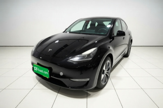 特斯拉 Model Y 2021款 标准续航后驱版