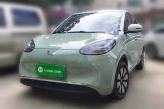 五菱汽车 五菱缤果 2023款 333km 悦享+款