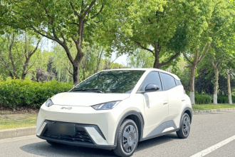 比亚迪 海鸥 2024款 荣耀版 305km 活力版