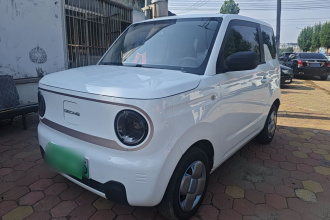 吉利银河 2024款 熊猫mini 200km 耐力熊