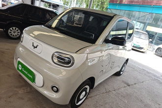 五菱汽车 宏光MINIEV 2024款 第三代 215km 青春版