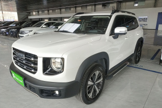 哈弗大狗 2021款 1.5T DCT两驱拉布拉多版