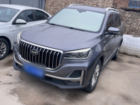 SWM斯威汽车 SWM斯威G05 2019款 2.0L 手动豪华型