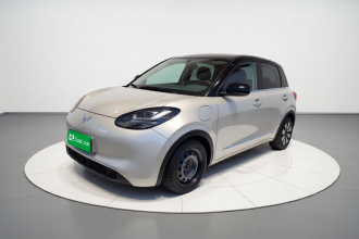 五菱汽车 五菱缤果 2024款 333km 悦享款