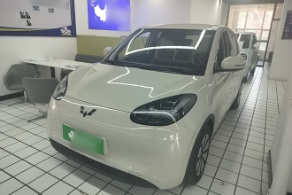 五菱汽车 五菱缤果 2023款 333km 悦享款
