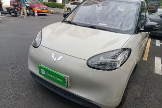 五菱汽车 五菱缤果 2024款 333km 悦享款