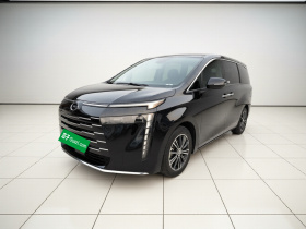 广汽传祺 传祺E8 2024款 荣耀系列 2.0L 智在版