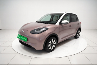 五菱汽车 五菱缤果 2023款 333km 悦享款