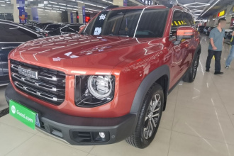 哈弗大狗 2021款 1.5T DCT两驱边牧版