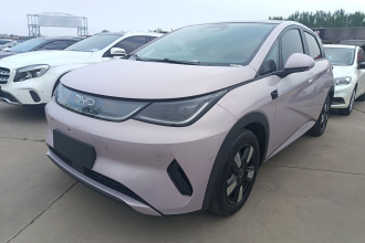 比亚迪 海豚 2025款 智驾版 410km 时尚版