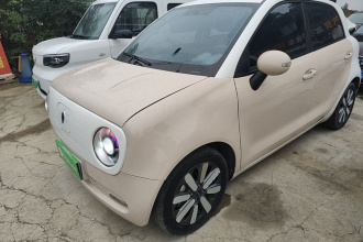 欧拉黑猫 2021款 351km 标准型