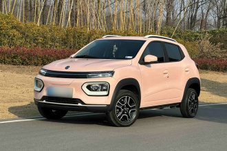 东风纳米 纳米BOX 2022款 轻风版 201KM 标准型