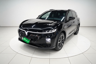 岚图汽车 岚图知音 2024款 四驱全球版