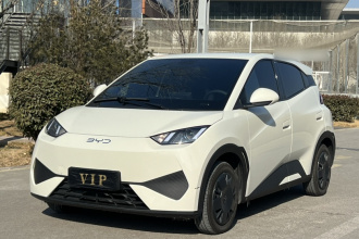 比亚迪 海鸥 2025款 智驾版 305km 活力版