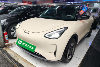 吉利银河 星愿 2025款 310km 梦想版