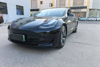 特斯拉 Model 3 2020款 标准续航后驱升级版