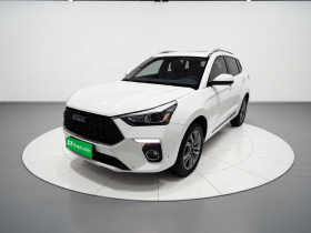 哈弗H6 Coupe 2018款 红标 1.5T 自动两驱超豪型