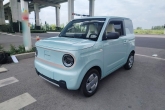 吉利银河 2024款 熊猫mini 200km 耐力熊
