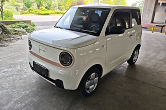 吉利银河 2024款 熊猫mini 200km 耐力熊