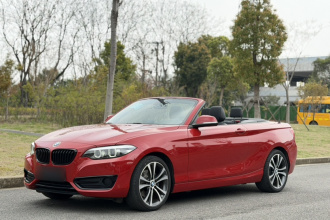 宝马2系(进口) 2019款 225i 敞篷轿跑车 运动设计套装