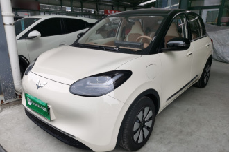 五菱汽车 五菱缤果 2025款 333km 悦享款