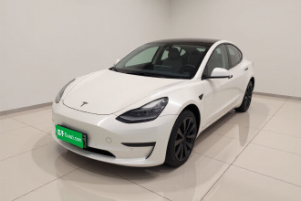 特斯拉 Model 3 2020款 标准续航后驱升级版