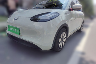 五菱汽车 五菱缤果 2023款 333km 悦享+款