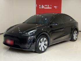 特斯拉 Model Y 2021款 标准续航后驱版