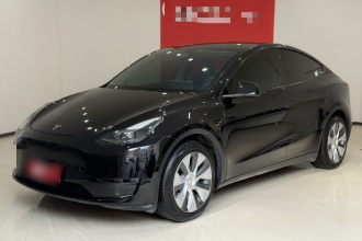特斯拉 Model Y 2021款 标准续航后驱版