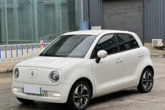 欧拉黑猫 2022款 351km 舒适型 三元锂