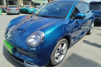 欧拉好猫 2023款 401km标准续航 尊荣型 磷酸铁锂