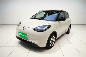 五菱汽车 五菱缤果 2023款 333km 灵犀互联款