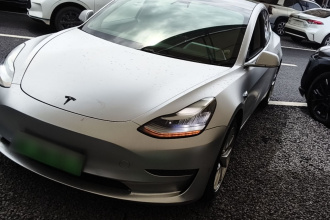 特斯拉 Model 3 2020款 改款 长续航后轮驱动版