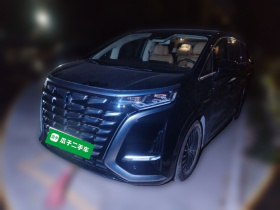 腾势D9 2024款 DM-i 980 四驱旗舰型