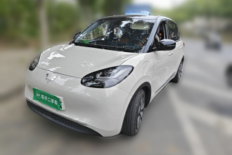 五菱汽车 五菱缤果 2023款 333km 灵犀互联+款