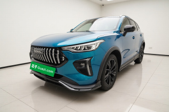 哈弗赤兔 2021款 激擎版 1.5T 黄金兔