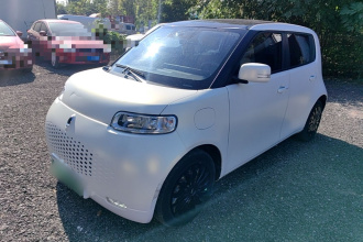欧拉白猫 2020款 360km 豪华型