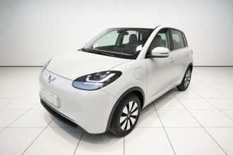 五菱汽车 五菱缤果 2025款 333km 悦享款