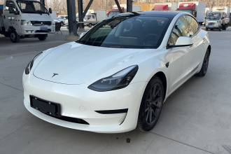 特斯拉 Model 3 2021款 标准续航后驱升级版 3D6