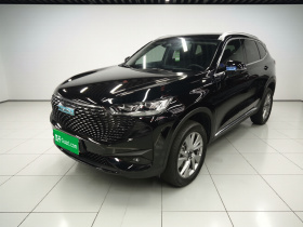 哈弗H6新能源 2023款 DHT-PHEV 55KM 悦行版