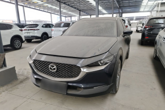 马自达CX-30 2021款  2.0L 自动嘉悦型