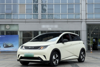 比亚迪 海豚 2023款 420km 时尚版