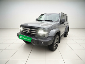 坦克300 2021款 城市版 2.0T 很有型