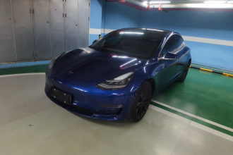 特斯拉 Model 3(进口) 2019款 长续航后驱版