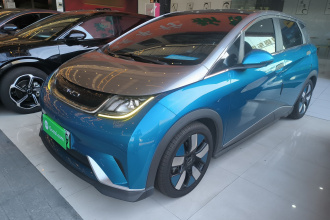 比亚迪 海豚 2021款 401km 骑士版